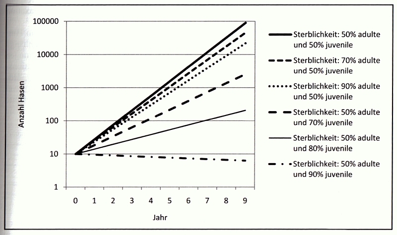 HasenSterblichkeit.jpg